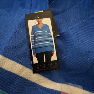 Joseph V-Neck Blue Striped Sweater